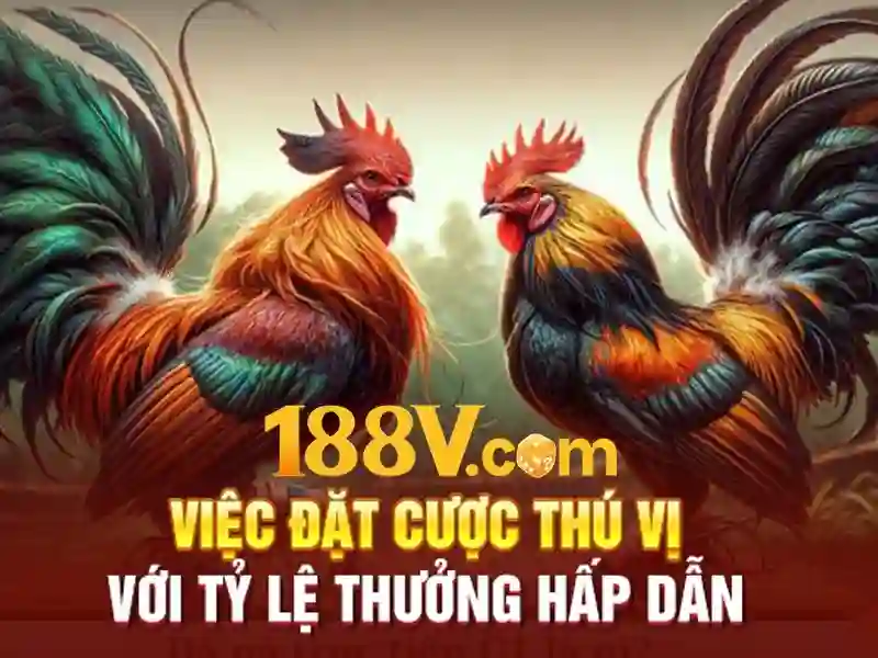  trải nghiệm 888 slot login link alternatif download - 188V - coffee-koi.com