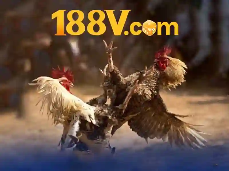 Con số và ý nghĩa
