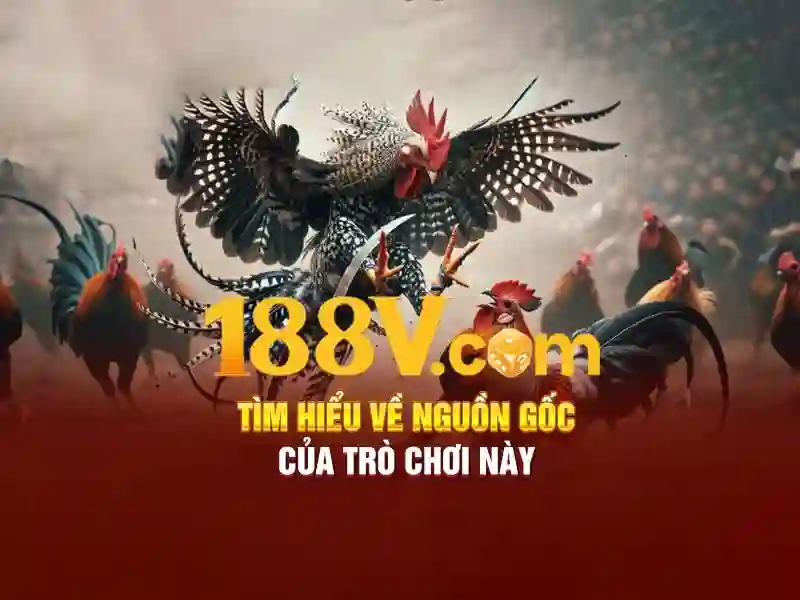 Khởi nguồn của 188v\n