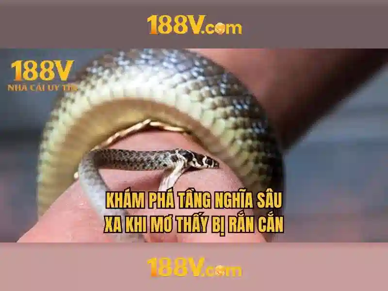 Khám phá 188v: một hành trình giữa ký ức và công nghệ