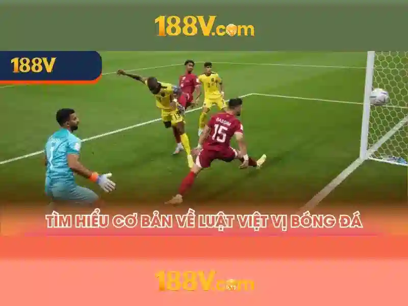 Đặc điểm nổi bật