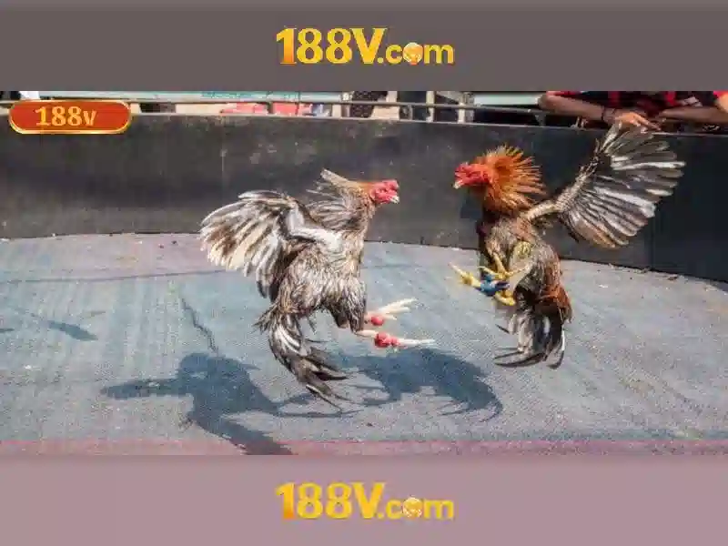 Nguồn gốc và ý nghĩa của 188V