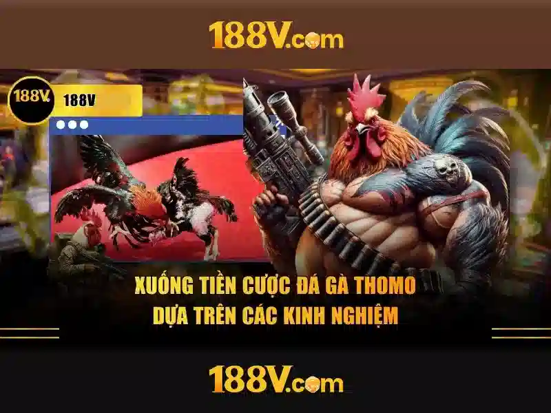 Khám phá khái niệm 188v