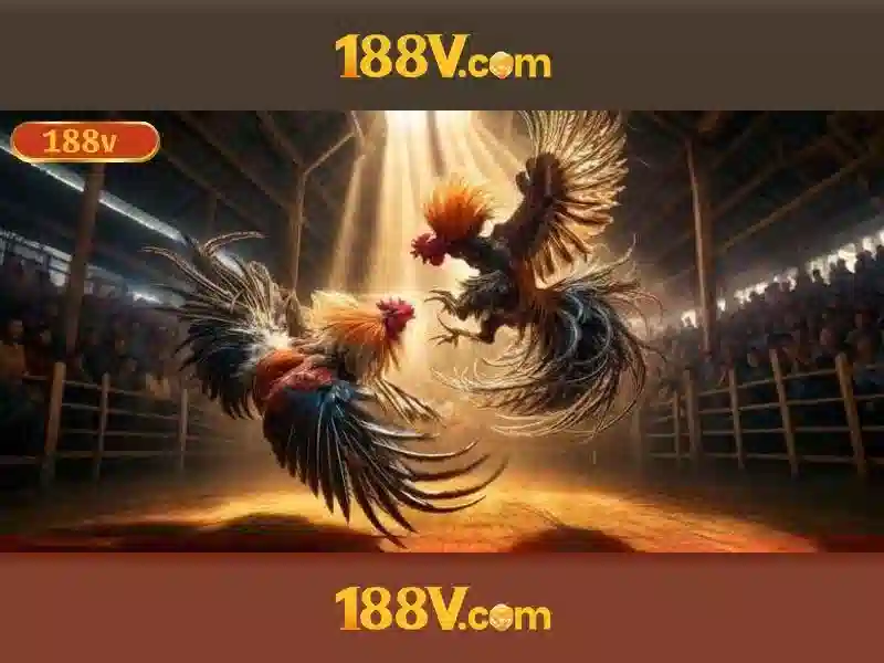 188v .com – tổng quan chủ đề và giá trị cốt lõi