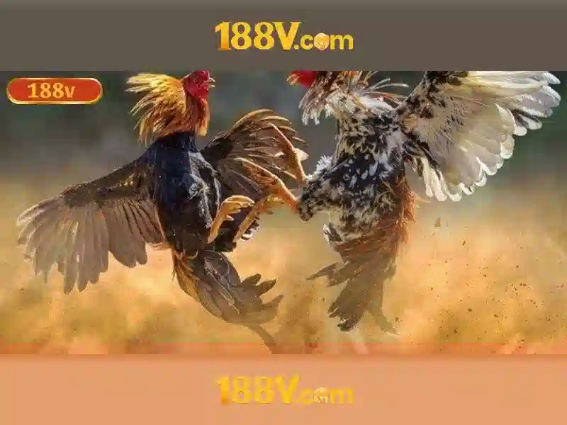 Ứng dụng phổ biến của 188v