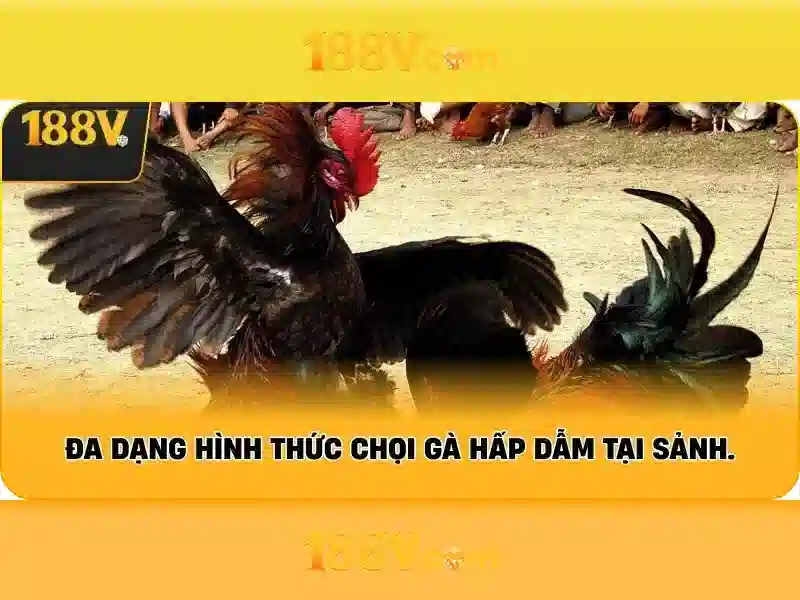 Khía cạnh xã hội và văn hóa xung quanh 188v 