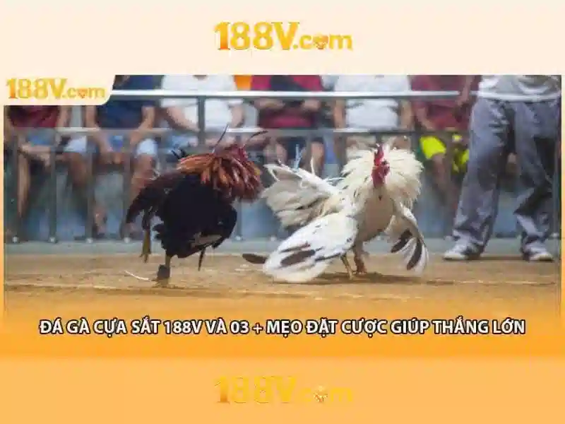 Nguồn gốc và sứ mệnh của 188v-com