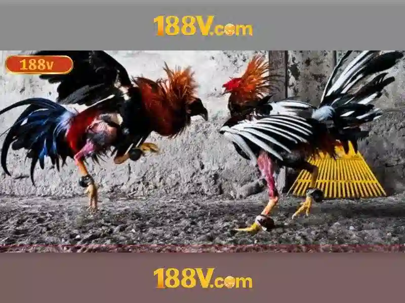 đăng nhập 188v – Trải nghiệm đỉnh cao tại 188v