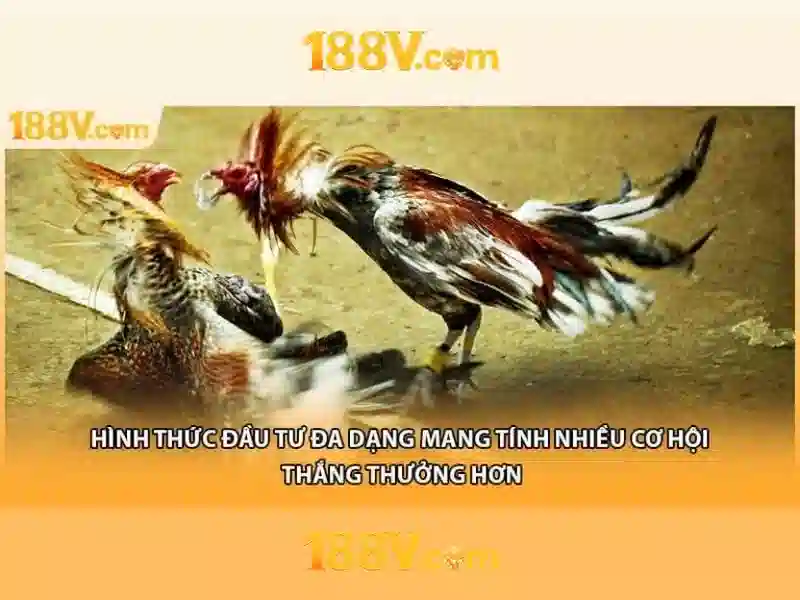 Kết nối tương lai của 188v\n