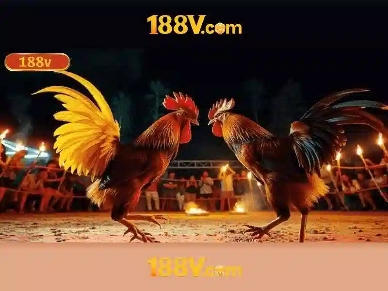 188v nhà cái – Tổng quan và Giá trị cốt lõi