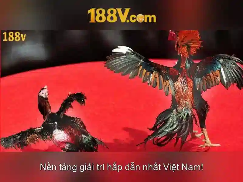 Thách-thức-và-bình-luận-xã-hội-188V\n