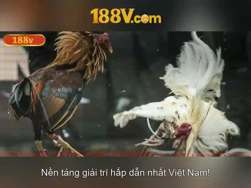 Mẹo chơi bắn cá 3 cây dễ ăn tiền nhà cái