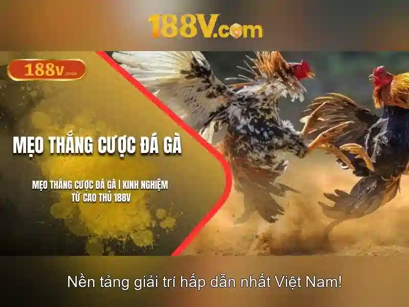phiên bản mới 188v - Tổng quan chủ đề và Giá trị cốt lõi