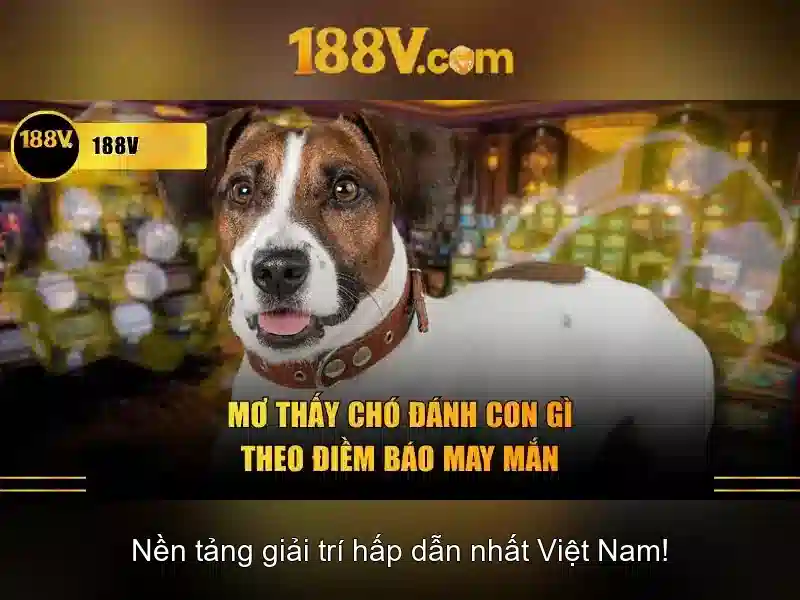 Kết luận và khuyến nghị