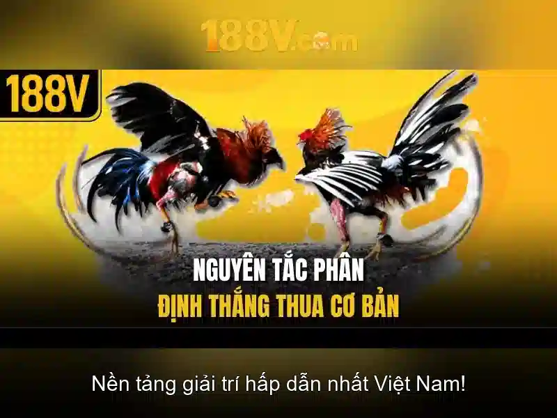 Khía cạnh thiết kế của 188v