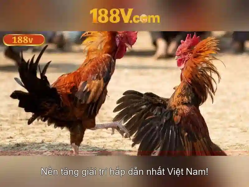 188V: Hiểu biết cơ bản và an toàn khi làm việc với điện áp cao