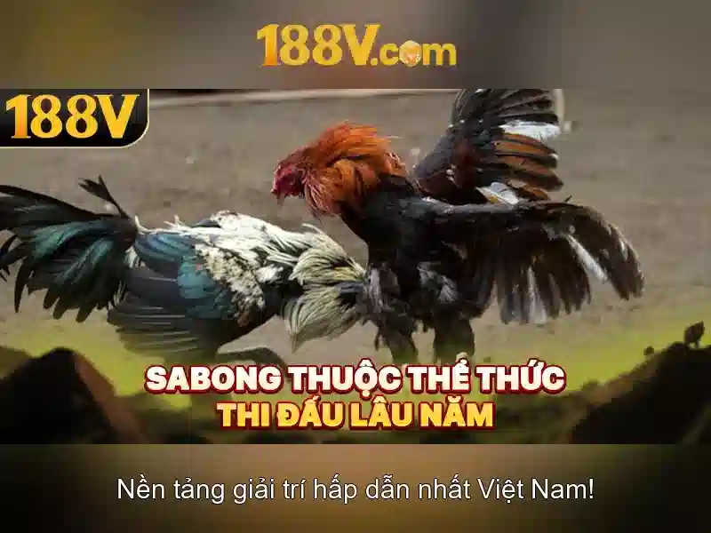 Khám phá 188V và điện áp cao