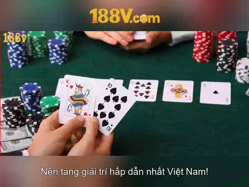 Hệ sinh thái và tương tác xã hội
