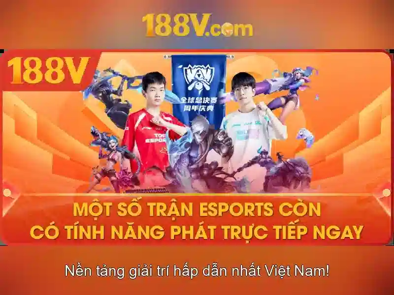 Trải nghiệm người dùng và phản hồi cộng đồng