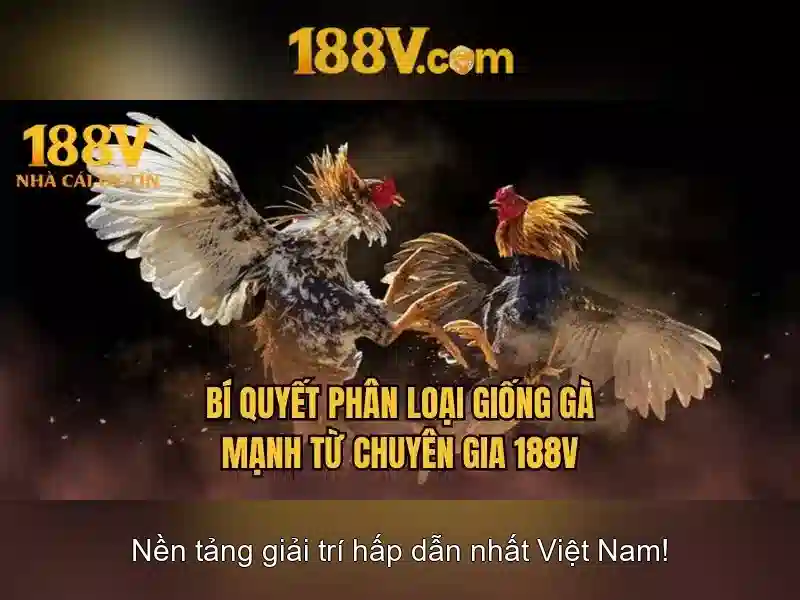 <!--IMG_PLACEHOLDER alt>Nguồn gốc và sứ mệnh-->