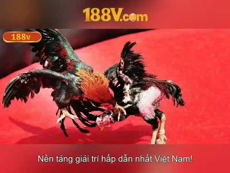 Tương lai của 188v và thách thức