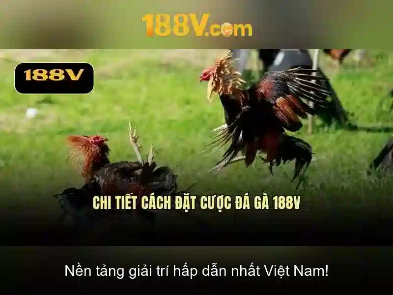 Thách thức và tiềm năng tương lai
