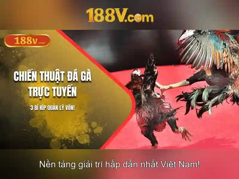 Khía cạnh lịch sử của 188v