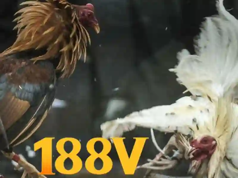 Khám phá 188V: ý nghĩa và ứng dụng