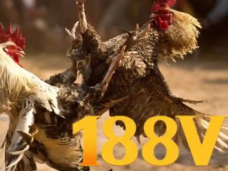 Sản phẩm và dịch vụ của 188v,com