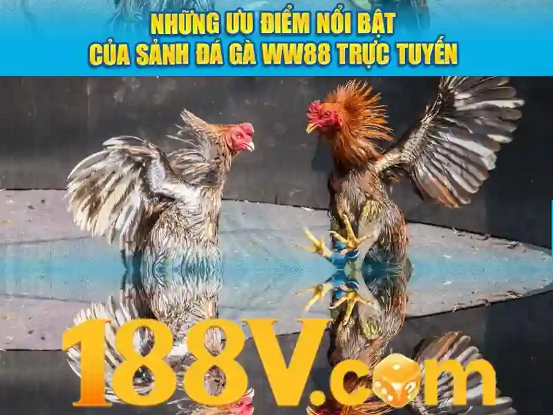 188v là gì: Khám phá cá cược thể thao và app 188v